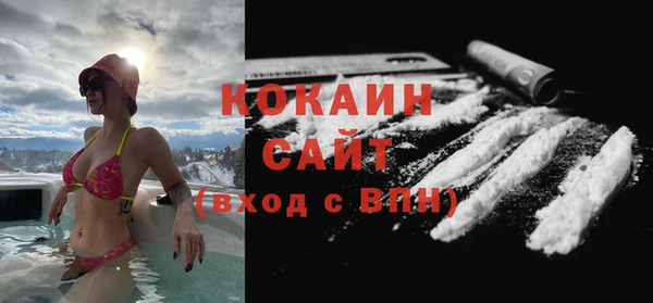 шишки Баксан