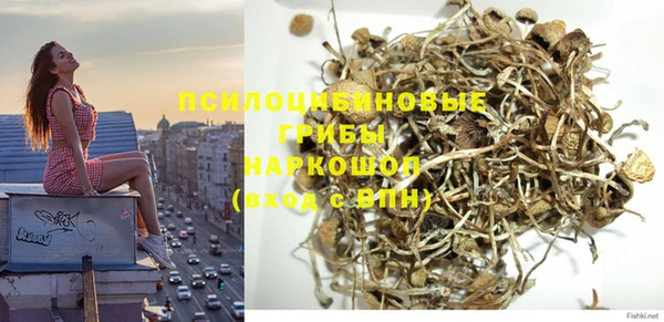 PSILOCYBIN Балабаново