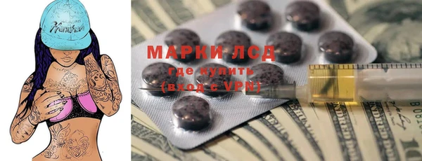 шишки Баксан